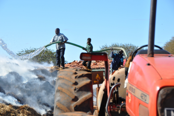 Inaglobe fellowship empowers students to innovate for social impact